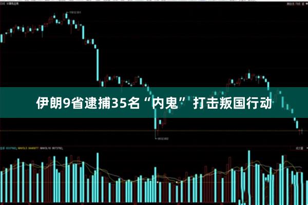 伊朗9省逮捕35名“内鬼” 打击叛国行动