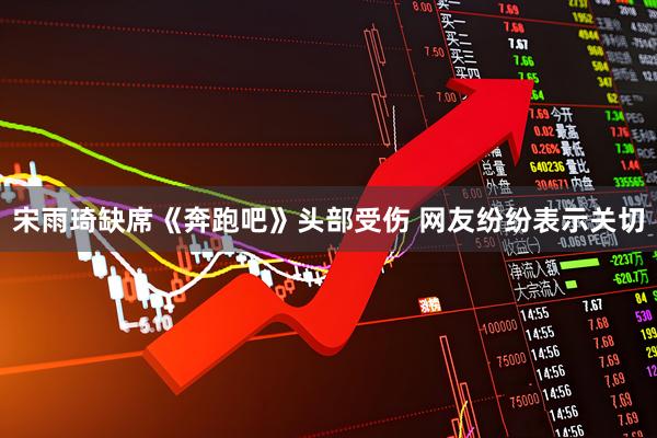 宋雨琦缺席《奔跑吧》头部受伤 网友纷纷表示关切