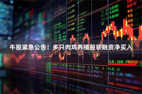 牛股紧急公告！多只肉鸡养殖股获融资净买入