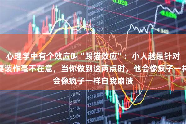 心理学中有个效应叫“踢猫效应”：小人越是针对你，你越要装作毫不在意，当你做到这两点时，他会像疯子一样自我崩溃
