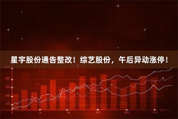 星宇股份通告整改！综艺股份，午后异动涨停！