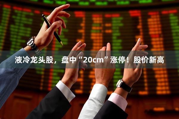 液冷龙头股，盘中“20cm”涨停！股价新高